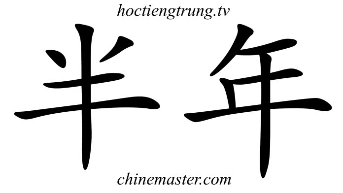 半年 Từ điển tiếng Trung online Thầy Vũ ChineMaster