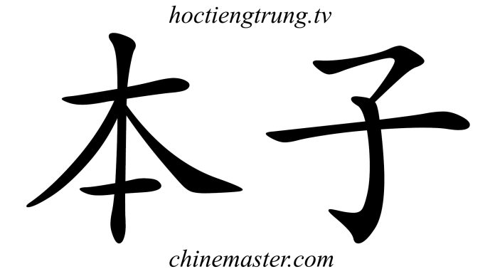 本子 Từ điển tiếng Trung Thầy Vũ ChineMaster