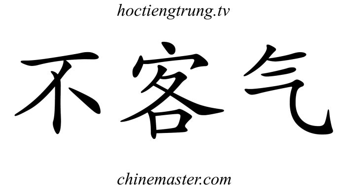 不客气 Từ điển tiếng Trung Thầy Vũ ChineMaster